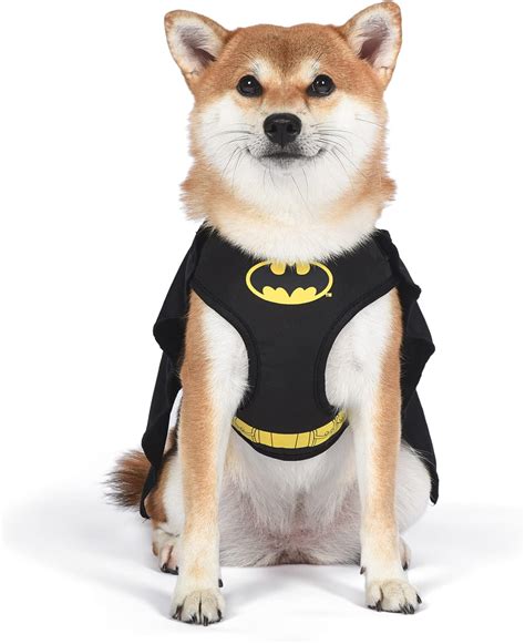 Batman Dog Costume