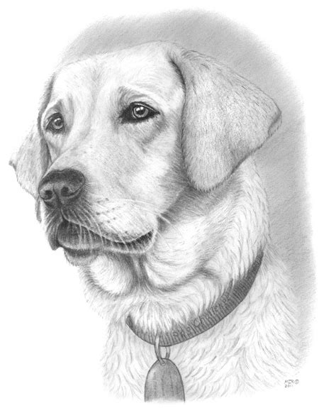 easy drawings dogs