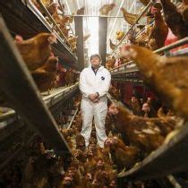 Working at Rose Acre Farms | Glassdoor