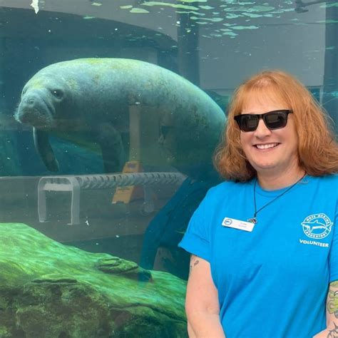 Make A Manatee Puppet | Save the Manatee Club