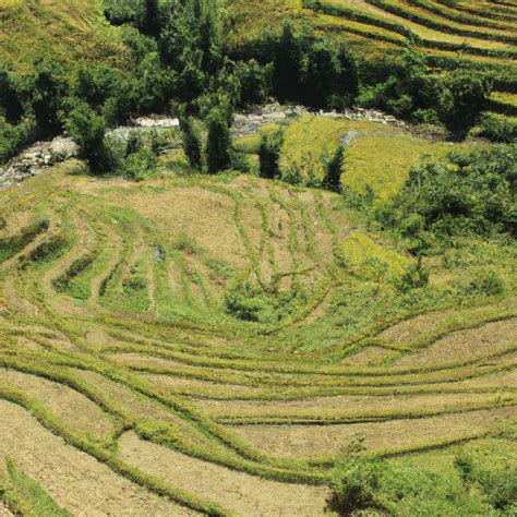 Why is Terracing Used in Southeast Asian Agriculture?