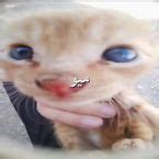 Image result for Roblox Script Good Skin