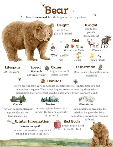 Animal fact sheets – Artofit