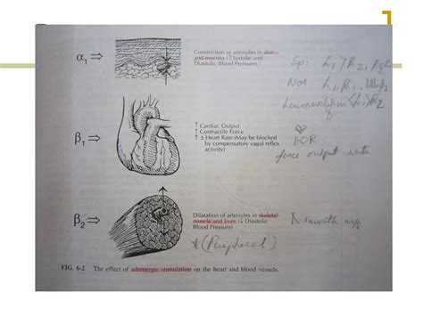 Local Anesthesia Injection 的图像结果
