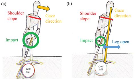 Golf Biomechanics In