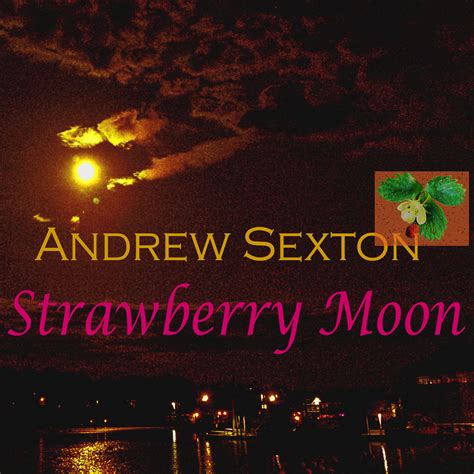 Strawberry Moon | Andrew Sexton