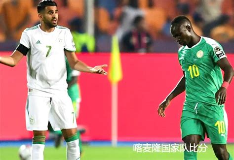 喀麦隆足协：球队没有从判罚中获益，阿尔及利亚主帅的怀疑没根据-直播吧zhibo8.cc