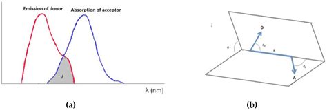 Revealing Nucleic Acid Mutations Using Förster Resonance Energy ...
