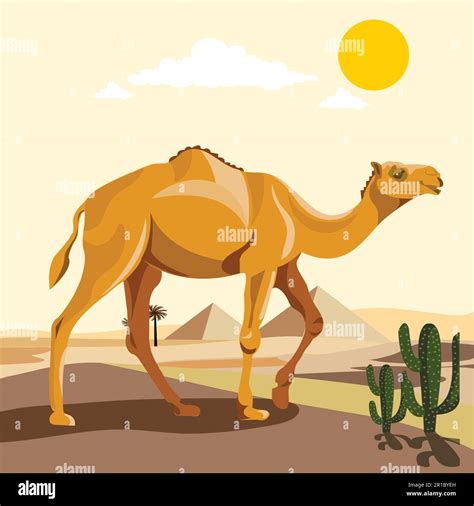 Camels In The Desert Clipart
