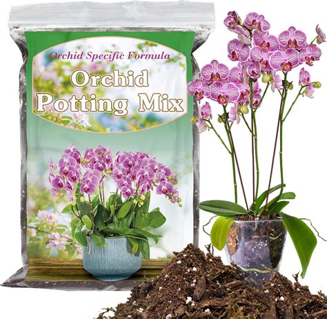 Amazon.com : Orchid Potting Mix 2 Quarts, Mixture of Moss Pine Bark ...