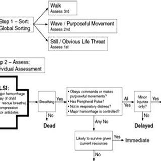 Start Triage Algorithm 的图像结果