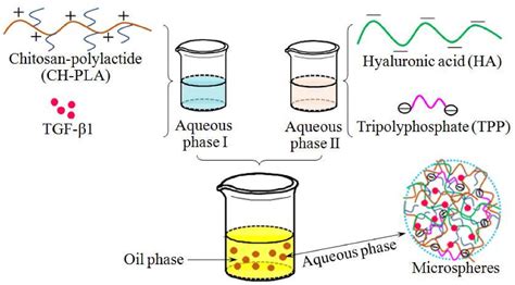 Chitosan-Polylactide/Hyaluronic Acid Complex Microspheres as Carriers ...
