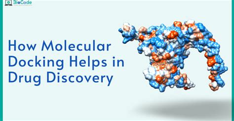 Image result for Molecular Docking Tutorial