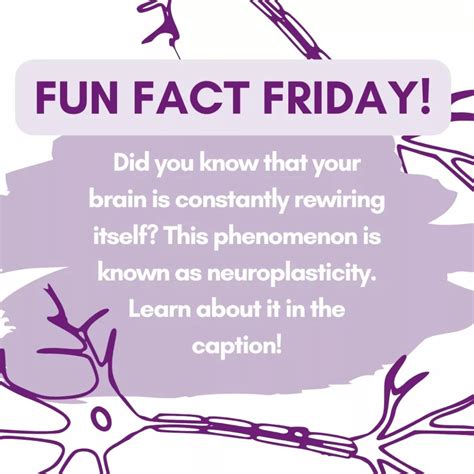 Fun Fact Friday - Rewiring - New Jersey Pediatric Neuroscience Institute