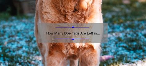 How Many Doe Tags Are Left in Pennsylvania? - linesville.net