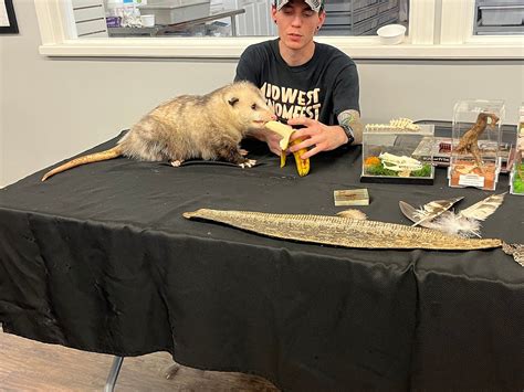 Mtoxins Venom Lab (Oshkosh) - All You Need to Know BEFORE You Go