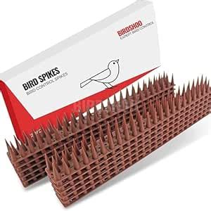 Birdshoo Bird Spikes for Pigeons Bird Control (10 Pcs Pack) 10Ft (Brown ...