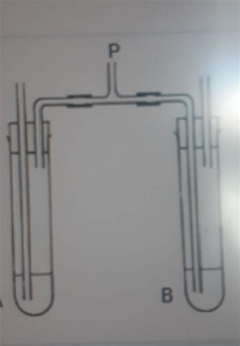 A student breathes in and out through the tube P in the apparatus ...