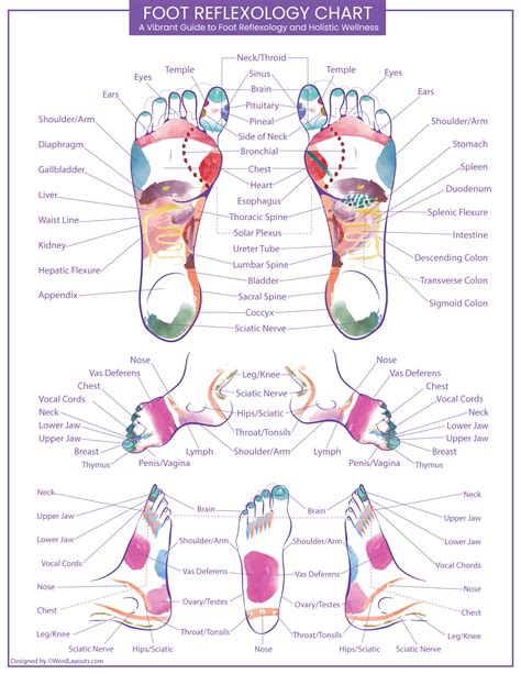 Foot Reflexology Chart (Detailed) - WordLayouts