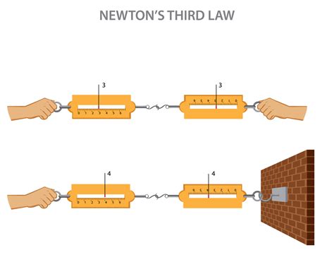 Newton's Third Law 的图像结果