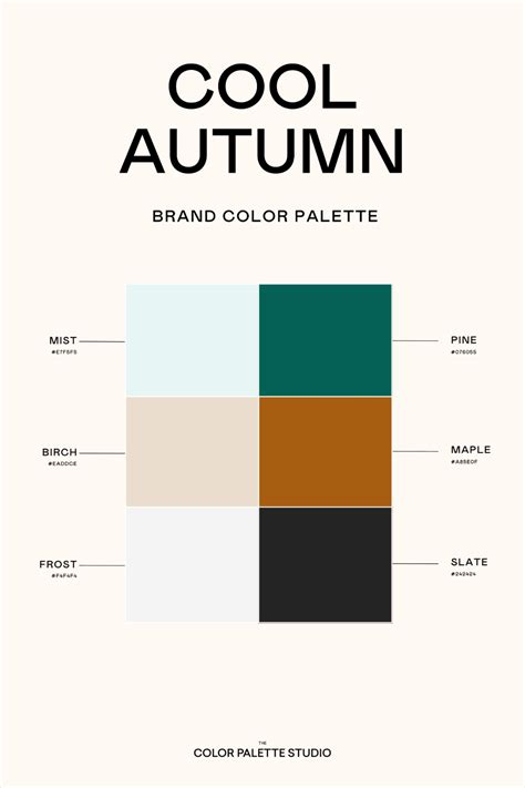 Cool Autumn Color Palette for Brands