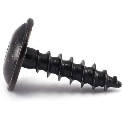 892016 Specialty Tapping Screw Torx Truss Hd M5.5 X 20 MM T20 Drv ...