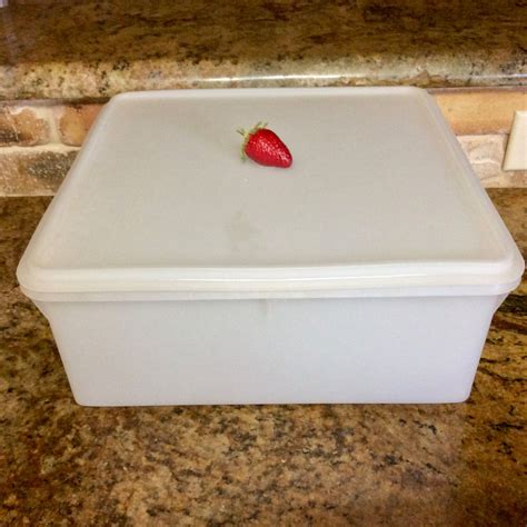 Large Tupperware Bins - Storage Ideas