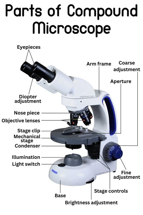 Microscope Part 的图像结果