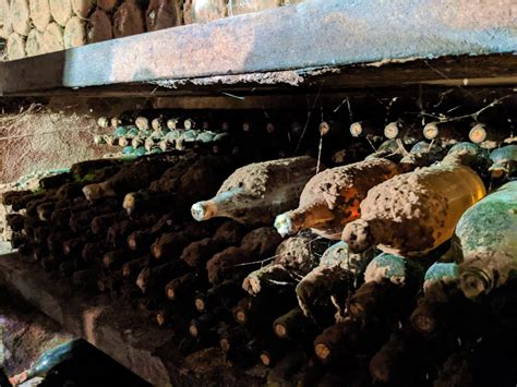 Vienna Woods Winter Wine Tour (Nov - Mar) - Guided Wine Tour in Lower ...