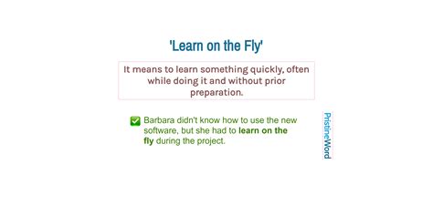 'Learn on the Fly': Meaning and Usage
