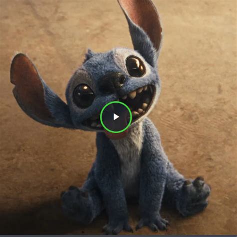 Stream Ver Lilo y Stitch !(2025) EN ESPAÑOL Y LATINO — Cuevana 3 by Ver ...