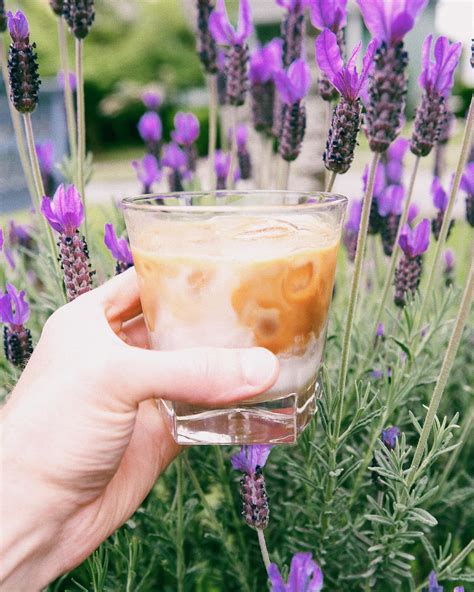 Snohomish Coffee Co. (@snohomishcoffeeco) • Instagram photos and videos