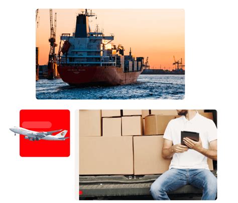 Explain About 2Pl 的图像结果