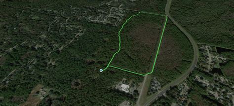 San Felasco Park Loop, Florida - 22 Reviews, Map | AllTrails