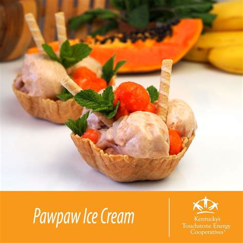 Shelby Energy Cooperative Inc on LinkedIn: Kentucky’s pawpaw fruit ...