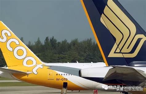 又一新加坡飞香港航班遭熔断 - 新加坡新闻头条