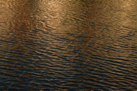 Image result for Lightwave Tutorial Water