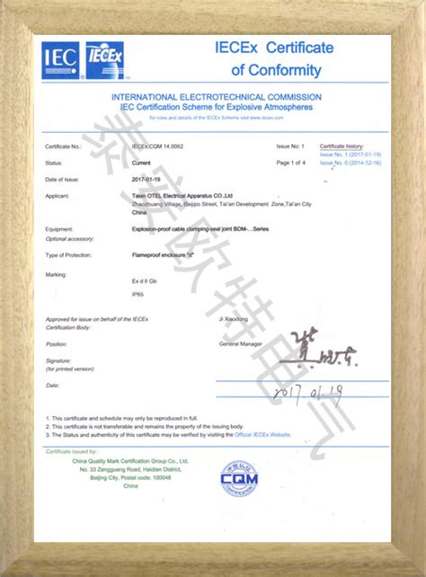 BDM格兰IEC认证证书-荣誉资质-泰安欧特电气有限公司
