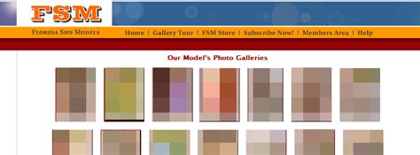 Florida Modeling Network 的图像结果