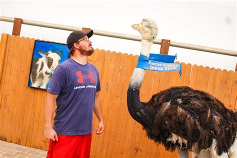 Why We LOVED The Rooster Cogburn Ostrich Ranch in Picacho, Arizona ...