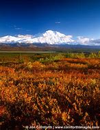 Image result for denali fall news