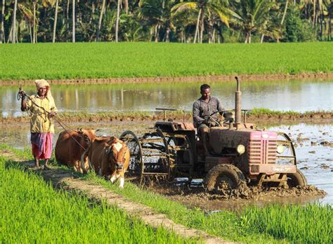 Green vs White Revolution in India: Difference and Comparison