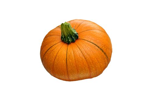 Pumpkin Vegetable Fruit Clipart Free Stock Photo - Public Domain Pictures