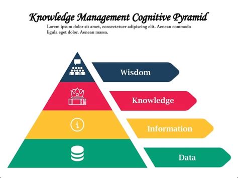 Data Pyramid Model 的图像结果