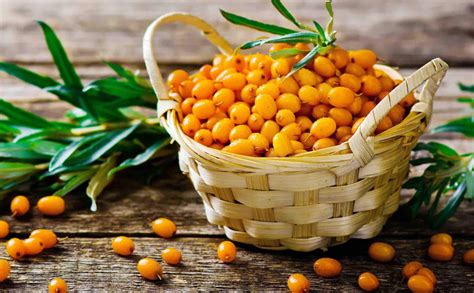 Buy Onlynutra Freeze Dried Sea Buckthorn (500mg) Omega 3,6,7,9 with 190 ...