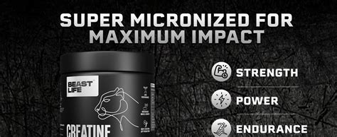 BEASTLIFE Super Micronized Creatine Monohydrate Powder