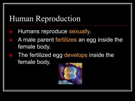 Image result for How Humans Reproduce