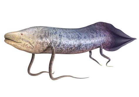 Image result for Fish Stink Meme