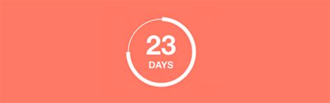 The 5 Best WordPress Timer Plugins For 2024