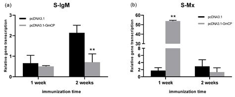 Cells and Fugu Response to Capsid of BFNNV Genotype